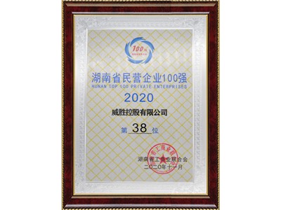 湖南省民營企業100強第38位